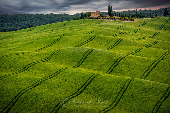 Val d'Orcia 1