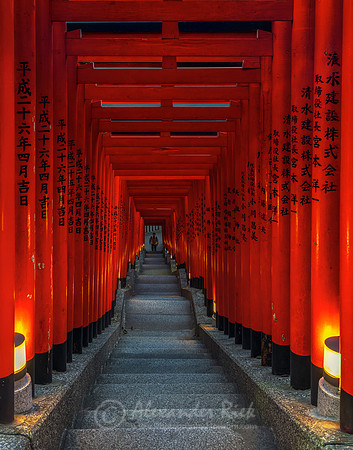 Tokyo 5