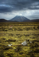 Andes 4