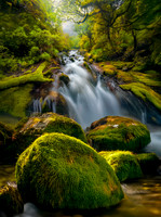 Fiordland National Park 1