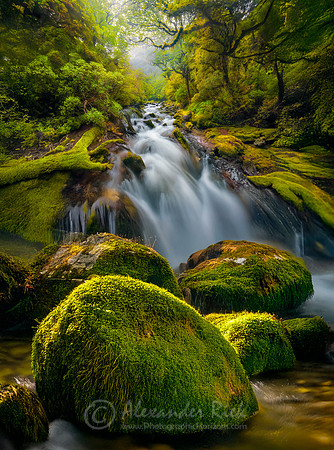 Fiordland National Park 1
