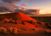Simpson Desert 2