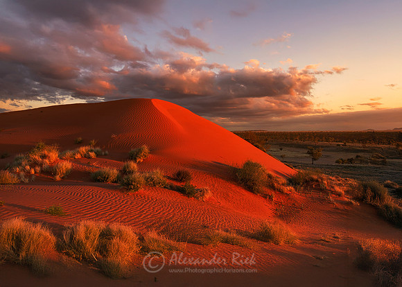 Simpson Desert 2