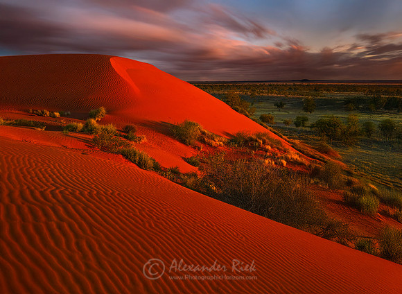 Simpson Desert 1