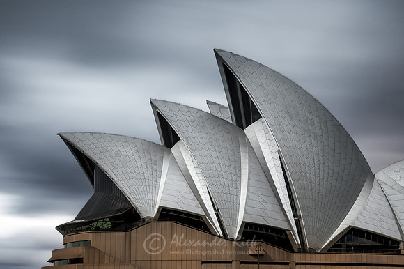 Sydney 11
