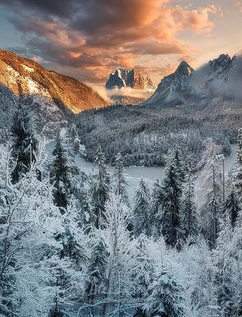 Winter landscape
