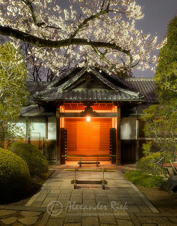 Tokyo 9