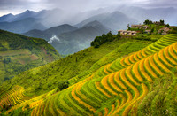 Sapa 6