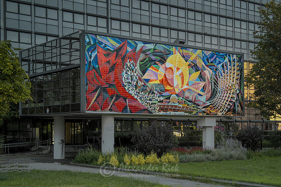 Halle 6