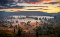 Lüneburger Heide 5