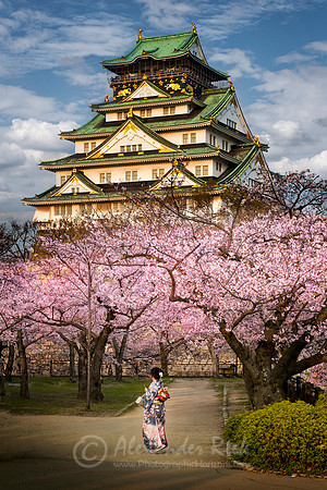 Osaka 2