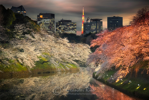 Tokyo 20
