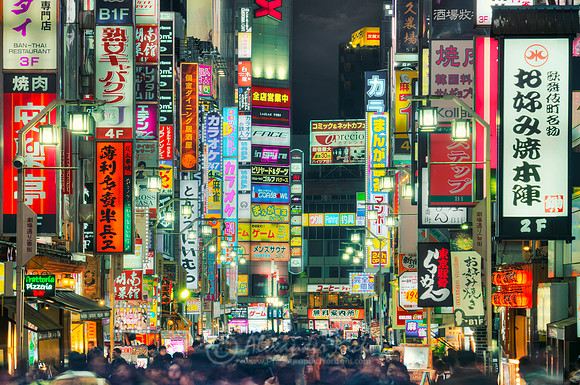 Tokyo 15