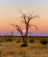 Simpson Desert 7