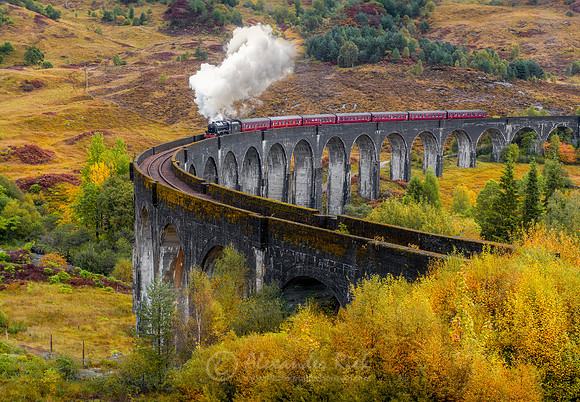 Steam Train 35