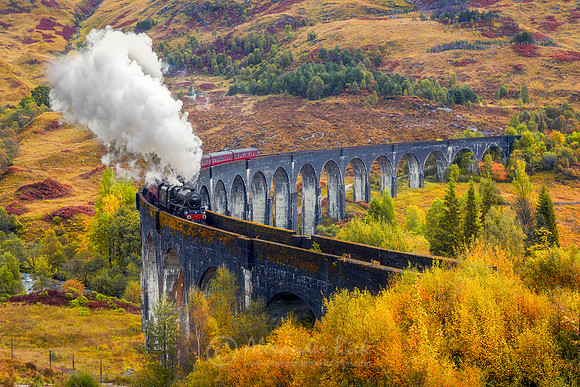 Steam Train 36