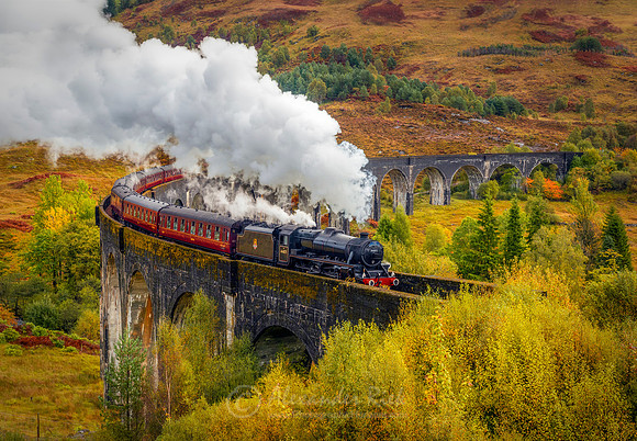 Steam Train 38