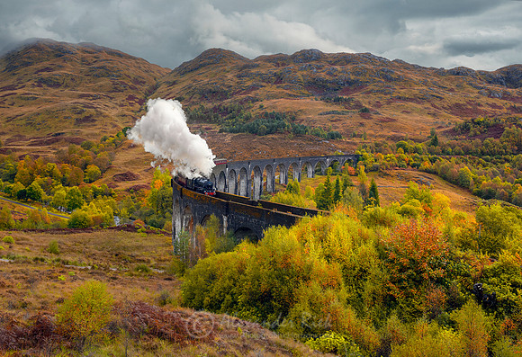 Steam Train 37
