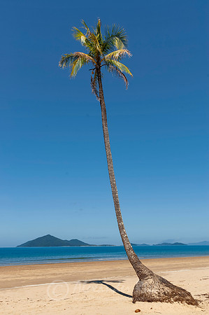 Mission Beach 2