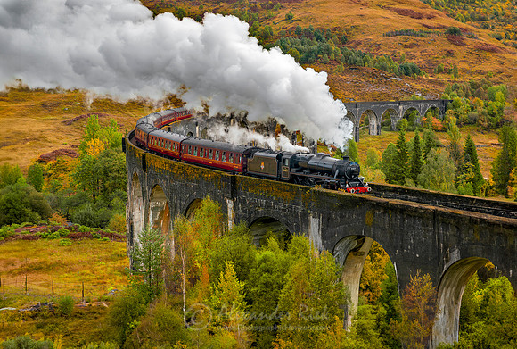 Steam Train 39