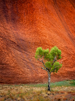 Uluru 8