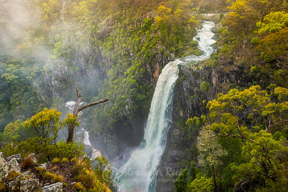 Stoney Creek Falls 2