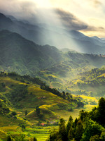 Sapa 10