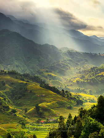 Sapa 10