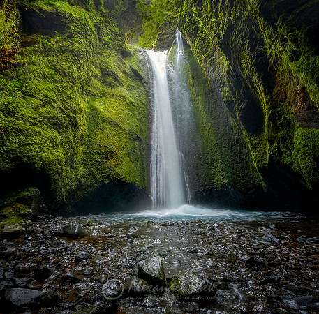 Nauthusagil Ravine 3
