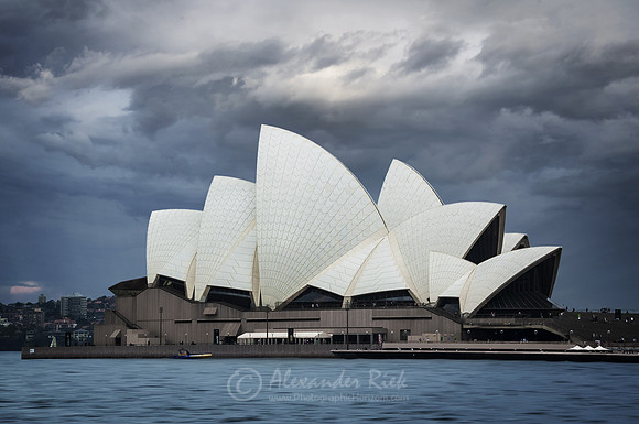 Sydney 12