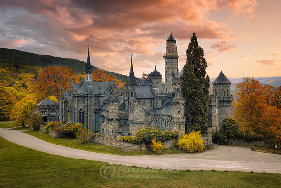 Lions Castle