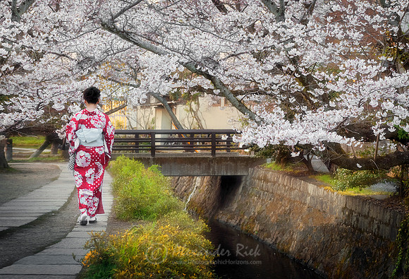 Kyoto 10
