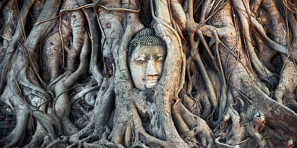 Ayutthaya 5