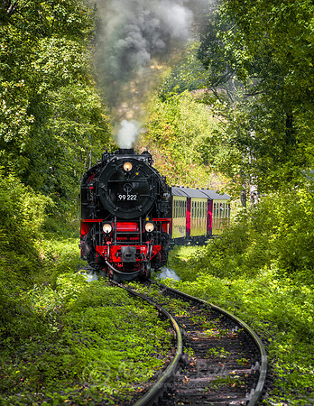 Steam Train 41