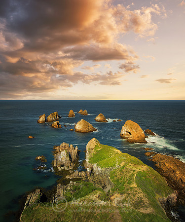Nugget Point