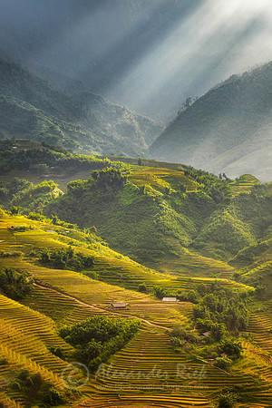 Sapa 9