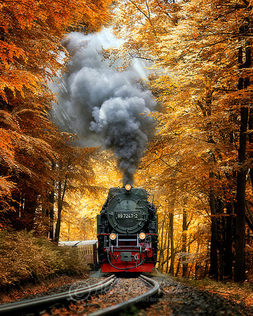 Steam Train 16