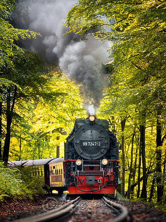 Steam Train 17