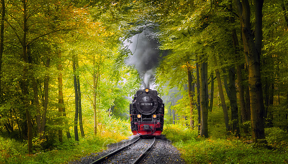Steam Train 15