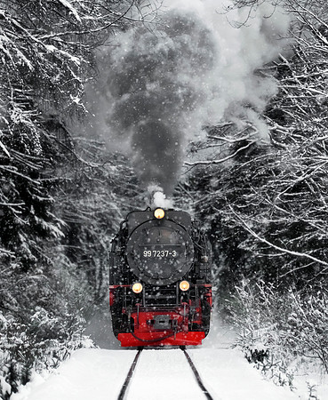 Steam Train 25