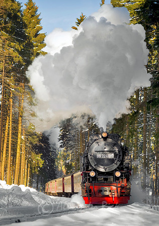 Steam Train 29