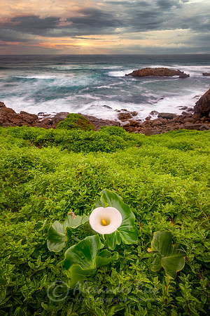 Robberg