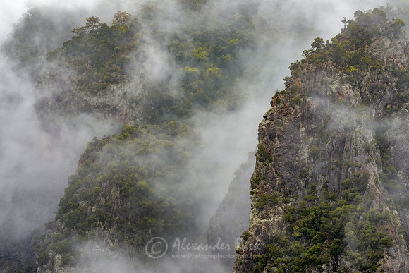 Wollomombi 2