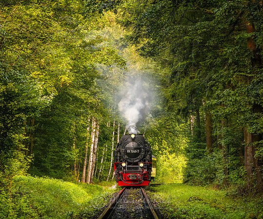 Steam Train 43
