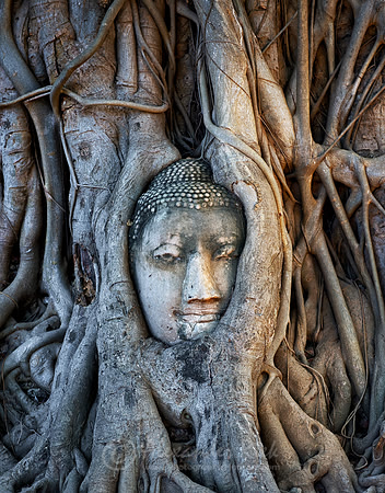Ayutthaya 4