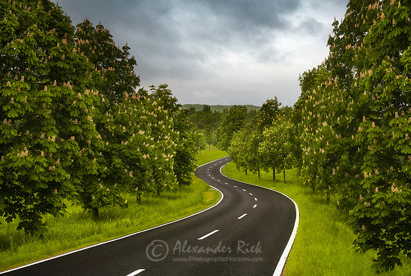 Spring Road