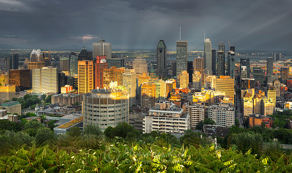Montreal 3