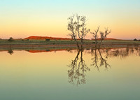 Simpson Desert 7