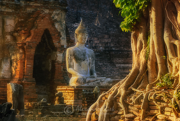 Ayutthaya 6
