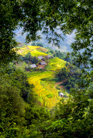 Sapa 11